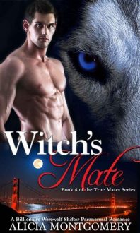 witch's mate, alicia montgomery, epub, pdf, mobi, download