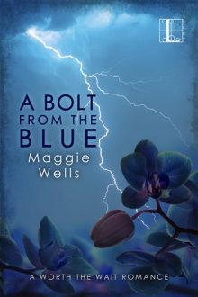 a bolt from the blue, maggie wells, epub, pdf, mobi, download