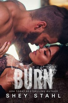 burn, shey stahl, epub, pdf, mobi, download