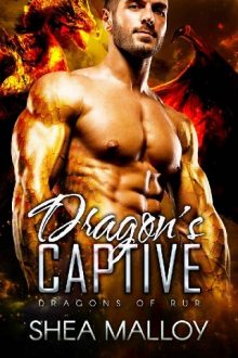 dragon's captive, shea malloy, epub, pdf, mobi, download
