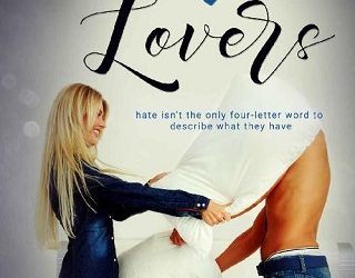 hate 2 lovers jd hollyfield