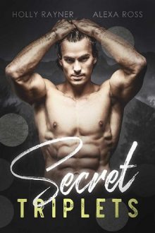 secret triplets, holly rayner, epub, pdf, mobi, download