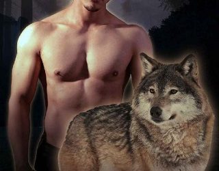 the prince's omega hawke oakley