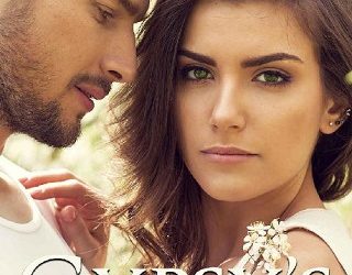 gypsy's chance shelley springfield