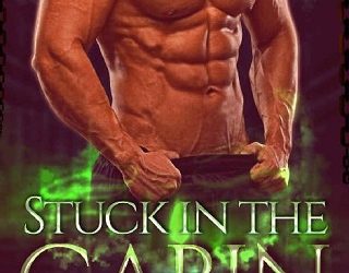 stuck in the cabin sarah j stone