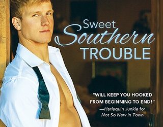 sweet southern trouble michele summers