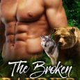 the broken barrier sarah j stone