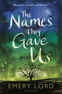 the names they gave us, emery lord, epub, pdf, mobi, download