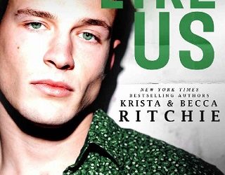 damaged like us krista ritchie