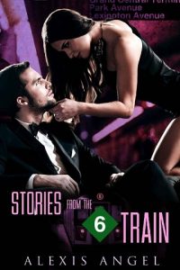 stories from the 6 train, alexis angel, epub, pdf, mobi, download