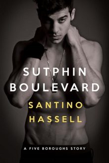 Sutphin Boulevard By Santino Hassell Epub Pdf Downloads The Ebook Hunter