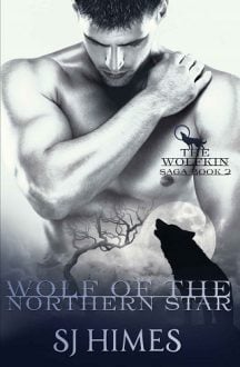 wolf of the northern star, sj himes, epub, pdf, mobi, download