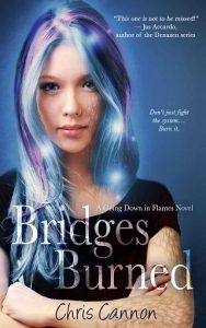 bridges burned, chris cannon, epub, pdf, mobi, download