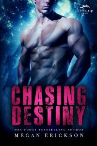 chasing destiny, megan erickson, epub, pdf, mobi, download