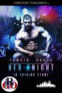 her knight in shining stone, tamsin baker, epub, pdf, mobi, download