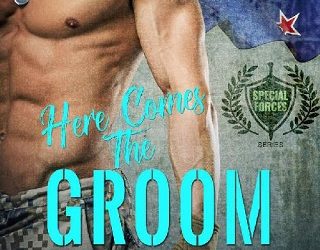 here comes the groom karina bliss