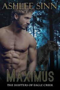 maximum, ashlee sinn, epub, pdf, mobi, download