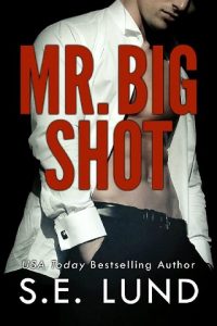 mr big shot, se lund, epub, pdf, mobi, download