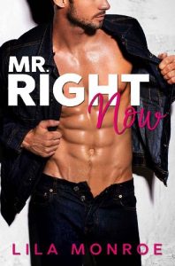 mr right now, lila monroe, epub, pdf, mobi, download
