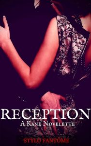 reception, stylo fantome, epub, pdf, mobi, download