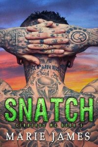 snatch, marie james, epub, pdf, mobi, download