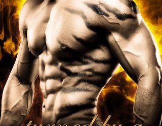 turned by a tiger felicity heaton