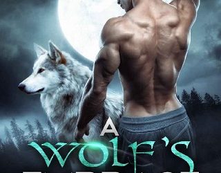 a wolf's embrace sarah j stone