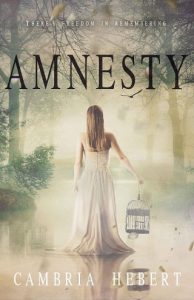 amnesty, cambria hebert, epub, pdf, mobi, download