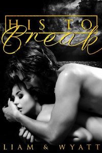 his to break, dani wyatt, epub, pdf, mobi, download