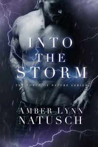 into the storm, amber lynn natusch, epub, pdf, mobi, download