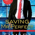 saving mr perfect tamara morgan