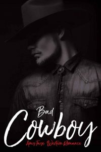 bad cowboy, amy faye, epub, pdf, mobi, download