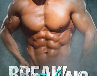 breaking the rules sarah j brooks