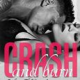 crash and burn heather d'agostino