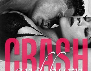 crash and burn heather d'agostino