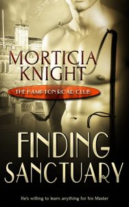 finding sanctuary, morticia knight, epub, pdf, mobi, download