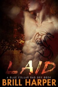 laid, brill harper, epub, pdf, mobi, download