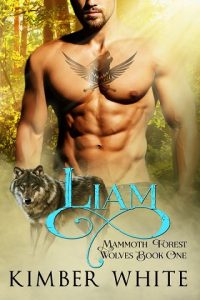 liam, kimber white, epub, pdf, mobi, download