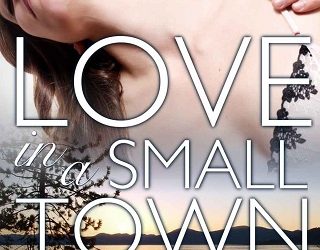 love in a small town zoe york
