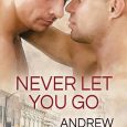 never let you go andrew grey