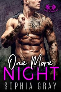 one more night, sophia gray, epub, pdf, mobi, download