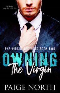 owning the virgin, paige north, epub, pdf, mobi, download