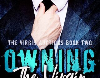 owning the virgin paige north