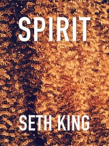 spirit, seth king, epub, pdf, mobi, download