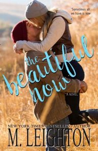 the beautiful now, m leighton, epub, pdf, mobi, download
