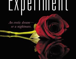 the experiment helenkay dimon