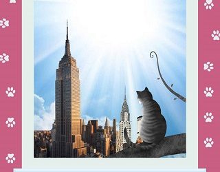 the sunshine's cat choice nic tatano