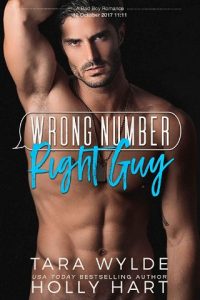 wrong number right guy, tara wylde, epub, pdf, mobi, download