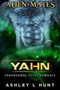 yahn, ashley l hunt, epub, pdf, mobi, download