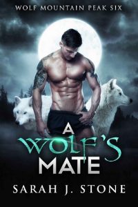 a wolf's mate, sarah j stone, epub, pdf, mobi, download